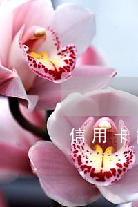 信用卡能查到逾期人新号码吗 信用卡能查到逾期人新号码吗