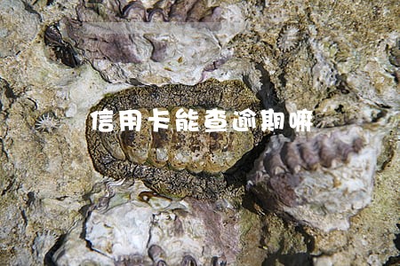 信用卡能查逾期嘛 信用卡能查逾期嘛