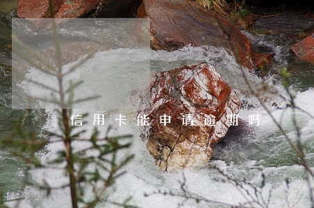 信用卡能申请逾期吗