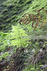 信用卡能被司法冻结吗 信用卡能被司法冻结吗