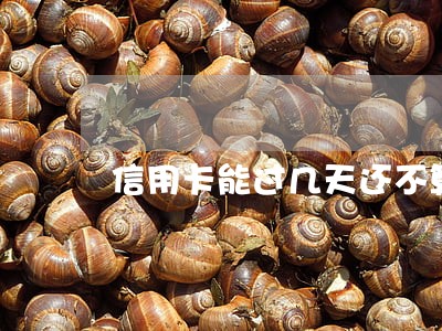 信用卡能过几天还不算逾期 信用卡能过几天还不算逾期