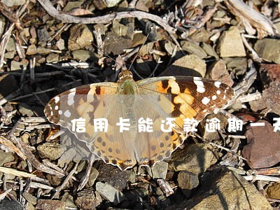 信用卡能还款逾期一天吗 信用卡能还款逾期一天吗
