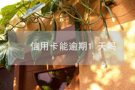 信用卡能逾期1天吗