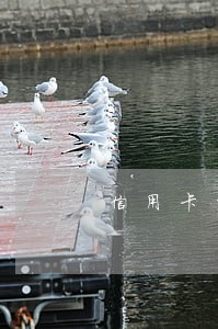 信用卡能逾期2个月吗 信用卡能逾期2个月吗