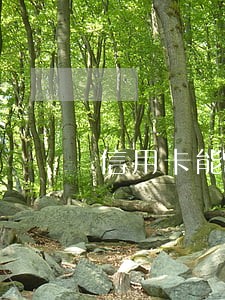 信用卡能逾期不接电话会坐牢吗