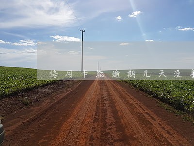 信用卡能逾期几天没事 信用卡能逾期几天没事