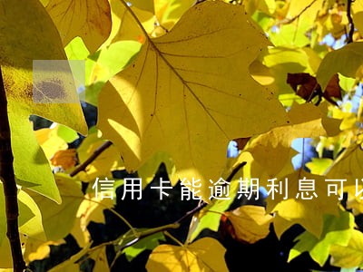 信用卡能逾期利息可以减免吗