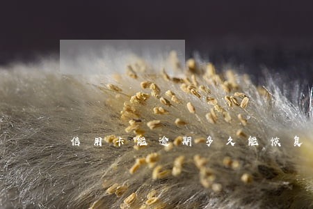 信用卡能逾期多久能恢复 信用卡能逾期多久能恢复