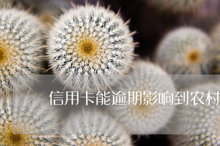 信用卡能逾期影响到农村低保 信用卡能逾期影响到农村低保