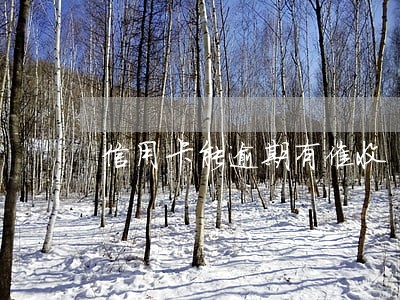 信用卡能逾期有催收 信用卡能逾期有催收