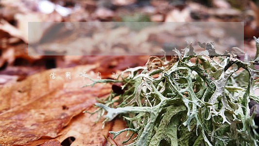 信用卡自动扣年费逾期了 信用卡自动扣年费逾期了