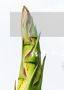 信用卡自动扣款失败逾期 信用卡自动扣款失败逾期