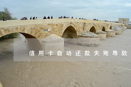信用卡自动还款失败导致逾期 信用卡自动还款失败导致逾期