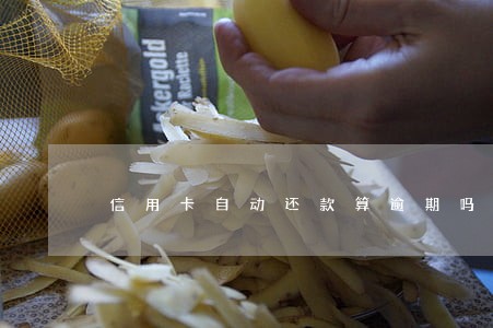 信用卡自动还款算逾期吗 信用卡自动还款算逾期吗