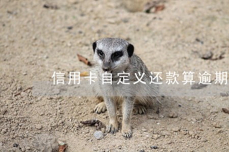 信用卡自定义还款算逾期