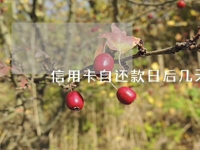 信用卡自还款日后几天算逾期 信用卡自还款日后几天算逾期