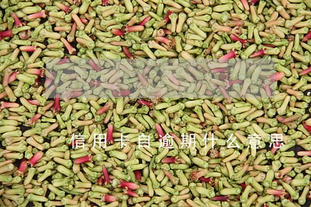 信用卡自逾期什么意思