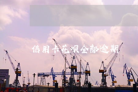 信用卡花呗全部逾期