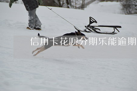 信用卡花呗分期乐能逾期多久 信用卡花呗分期乐能逾期多久