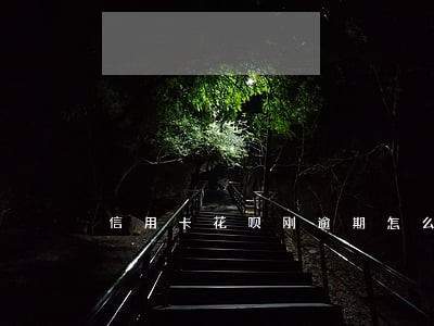 信用卡花呗刚逾期怎么办 信用卡花呗刚逾期怎么办
