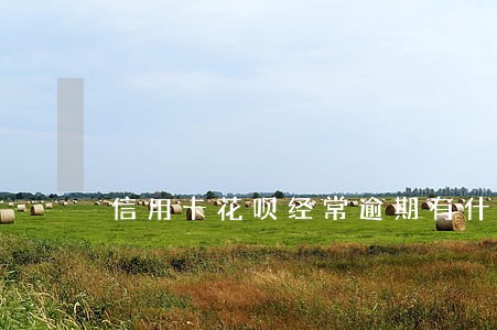 信用卡花呗经常逾期有什么影响 信用卡花呗经常逾期有什么影响