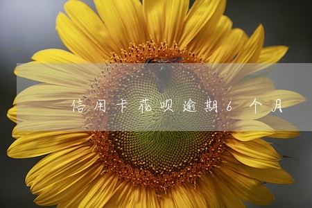 信用卡花呗逾期6个月 信用卡花呗逾期6个月