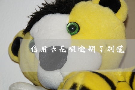 信用卡花呗逾期了别慌 信用卡花呗逾期了别慌