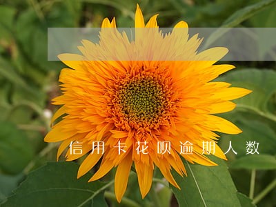 信用卡花呗逾期人数
