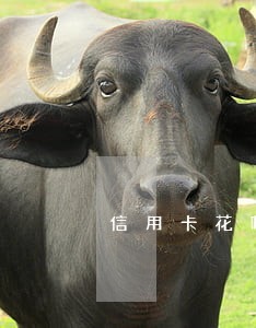 信用卡花呗逾期会有什么后果