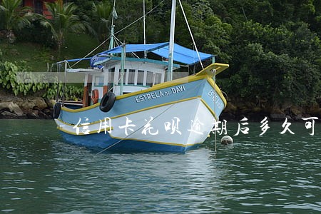 信用卡花呗逾期后多久可以使用 信用卡花呗逾期后多久可以使用