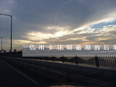 信用卡花呗逾期的后果 信用卡花呗逾期的后果
