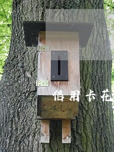 信用卡花呗逾期能不能贷款 信用卡花呗逾期能不能贷款