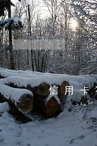 信用卡花呗逾期能借网贷吗 信用卡花呗逾期能借网贷吗