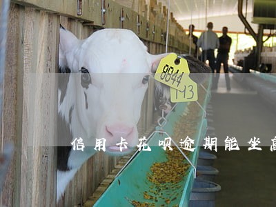 信用卡花呗逾期能坐高铁吗 信用卡花呗逾期能坐高铁吗