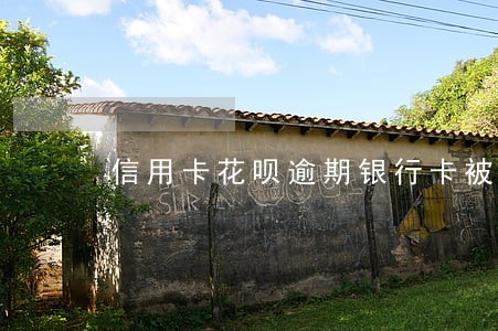 信用卡花呗逾期银行卡被停 信用卡花呗逾期银行卡被停