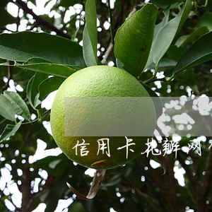 信用卡花瓣网贷都逾期了 信用卡花瓣网贷都逾期了