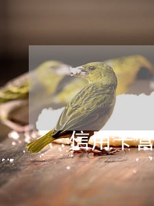 信用卡营业厅逾期还款