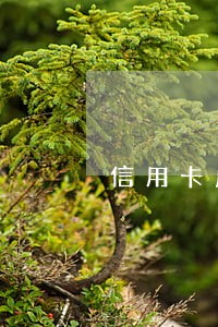 信用卡虚拟消费逾期被起诉 信用卡虚拟消费逾期被起诉