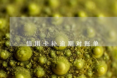 信用卡补逾期对账单