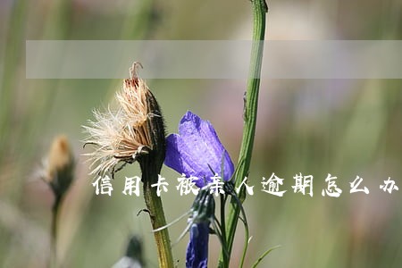 信用卡被亲人逾期怎么办 信用卡被亲人逾期怎么办