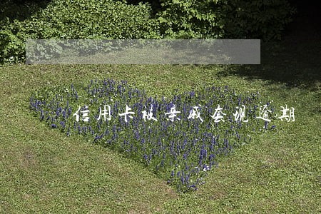 信用卡被亲戚套现逾期 信用卡被亲戚套现逾期