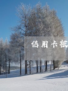 信用卡被人盗了逾期怎么办