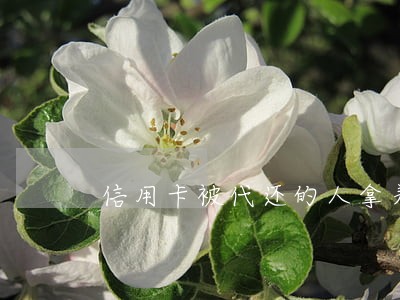 信用卡被代还的人拿着逾期 信用卡被代还的人拿着逾期