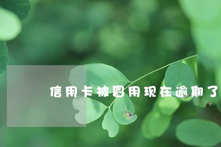 信用卡被冒用现在逾期了 信用卡被冒用现在逾期了