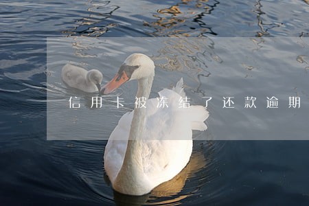 信用卡被冻结了还款逾期两天 信用卡被冻结了还款逾期两天