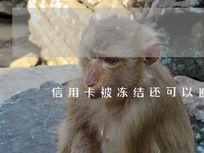 信用卡被冻结还可以逾期多久 信用卡被冻结还可以逾期多久