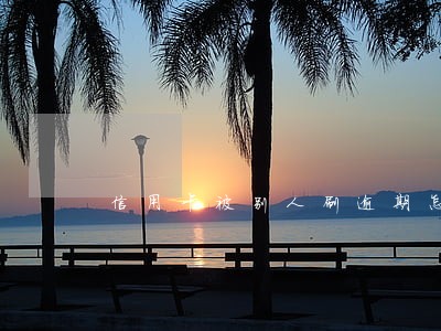 信用卡被别人刷逾期怎么处理