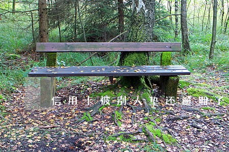 信用卡被别人垫还逾期了 信用卡被别人垫还逾期了