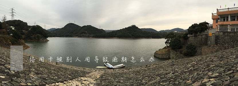 信用卡被别人用导致逾期怎么办 信用卡被别人用导致逾期怎么办