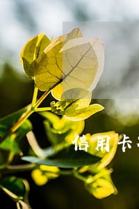 信用卡被动逾期征信 信用卡被动逾期征信